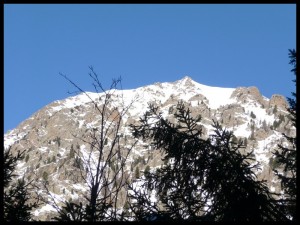 P1020348
